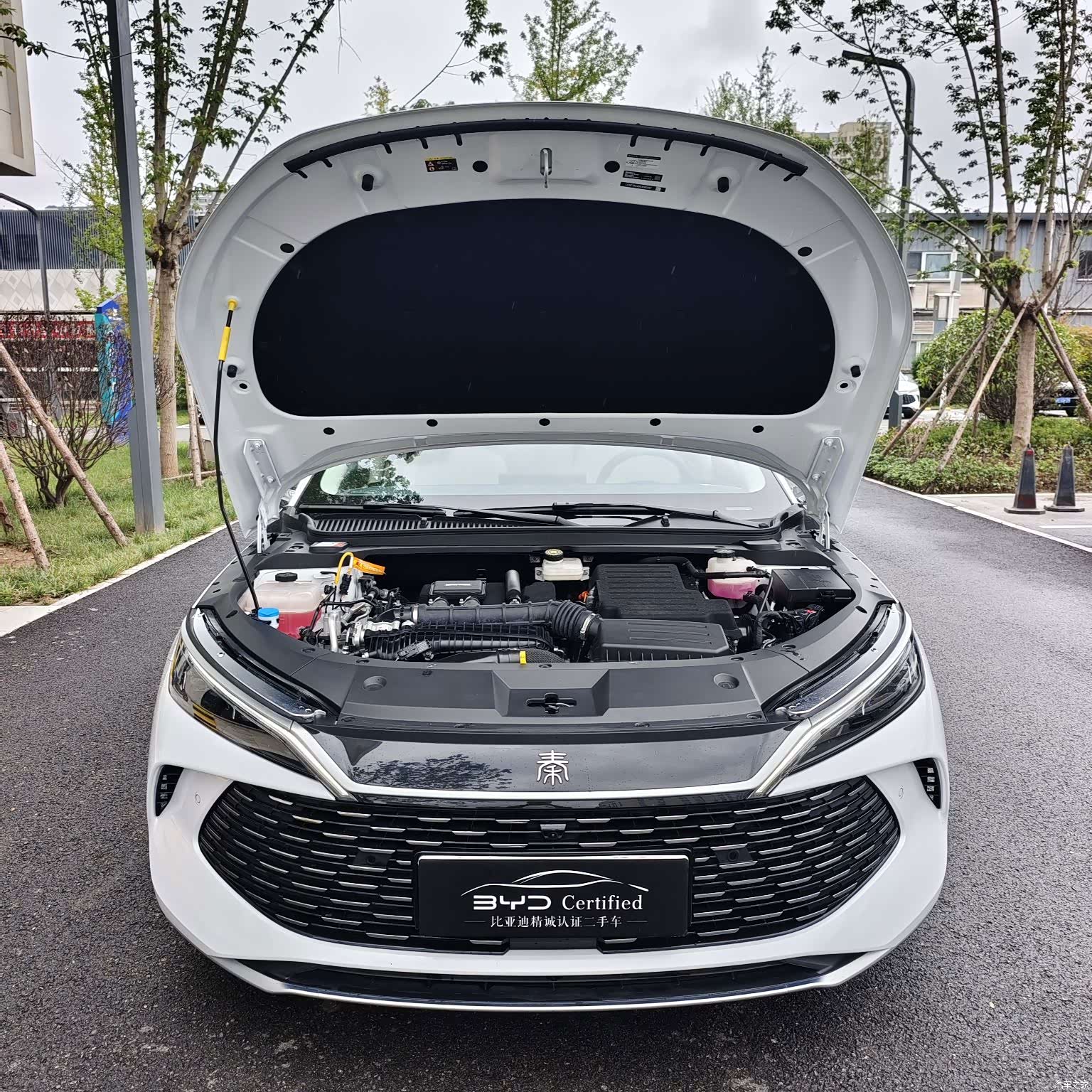 BYD Qin, 2025 2