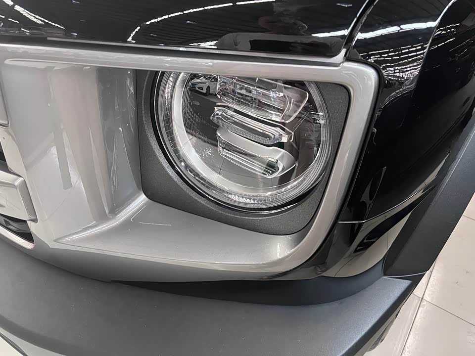 Haval Big dog