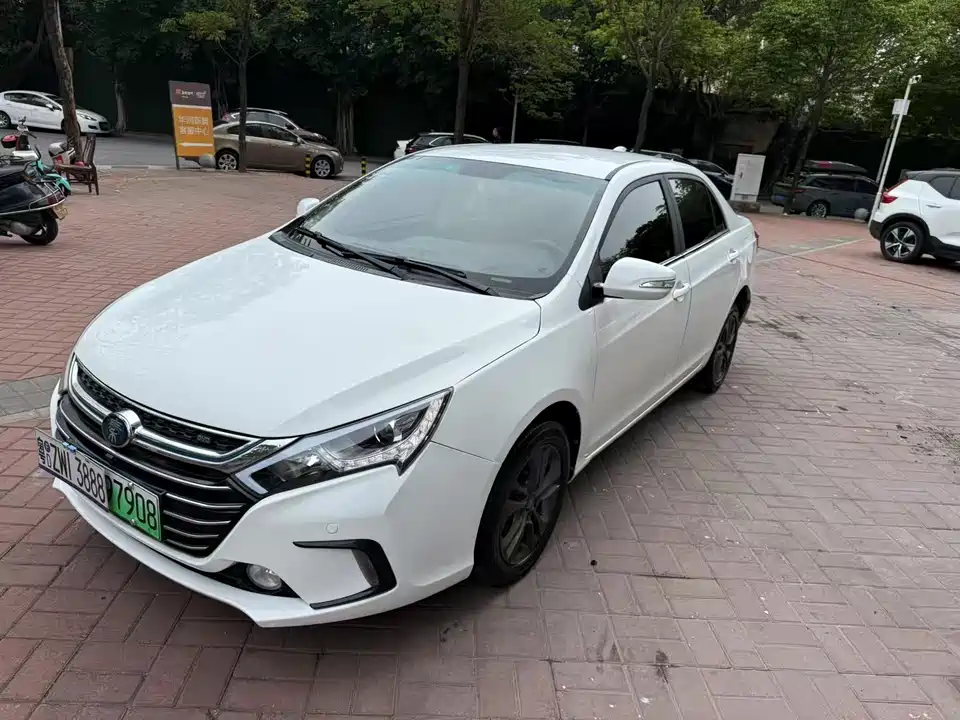 BYD Qinxin Energy