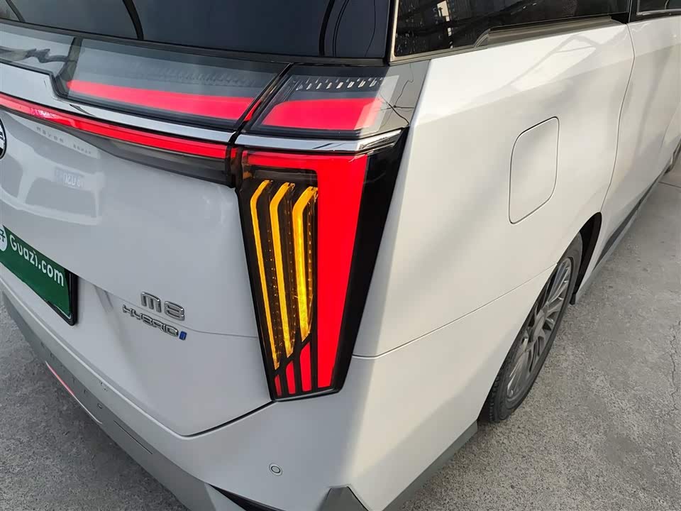 Trumpchi Trumpchi M8