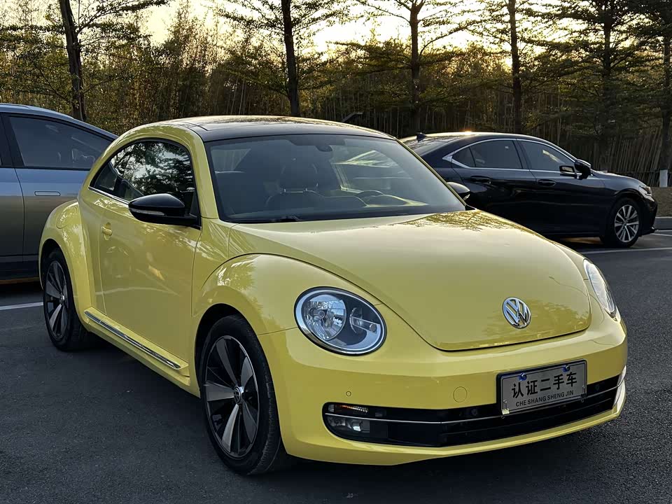 Volkswagen Beetle