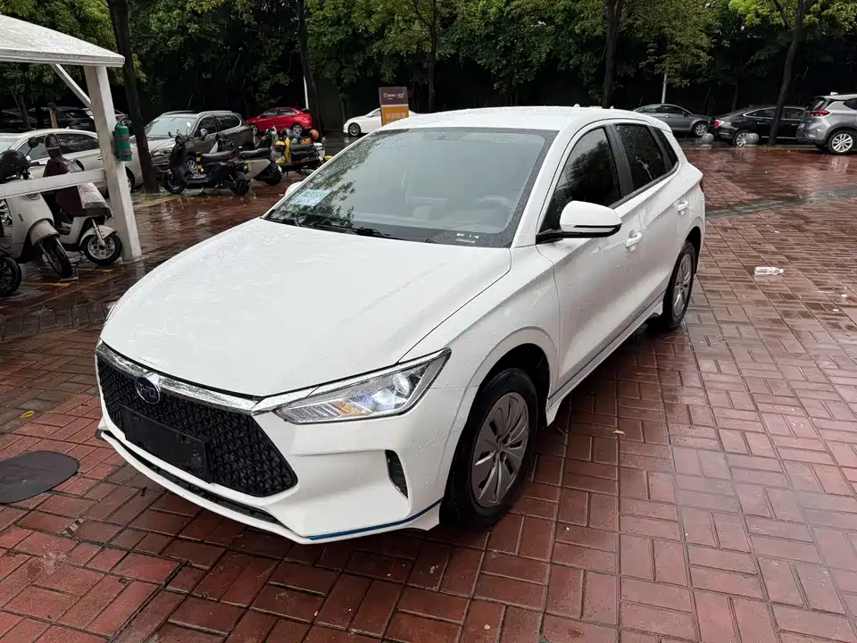 BYD e2