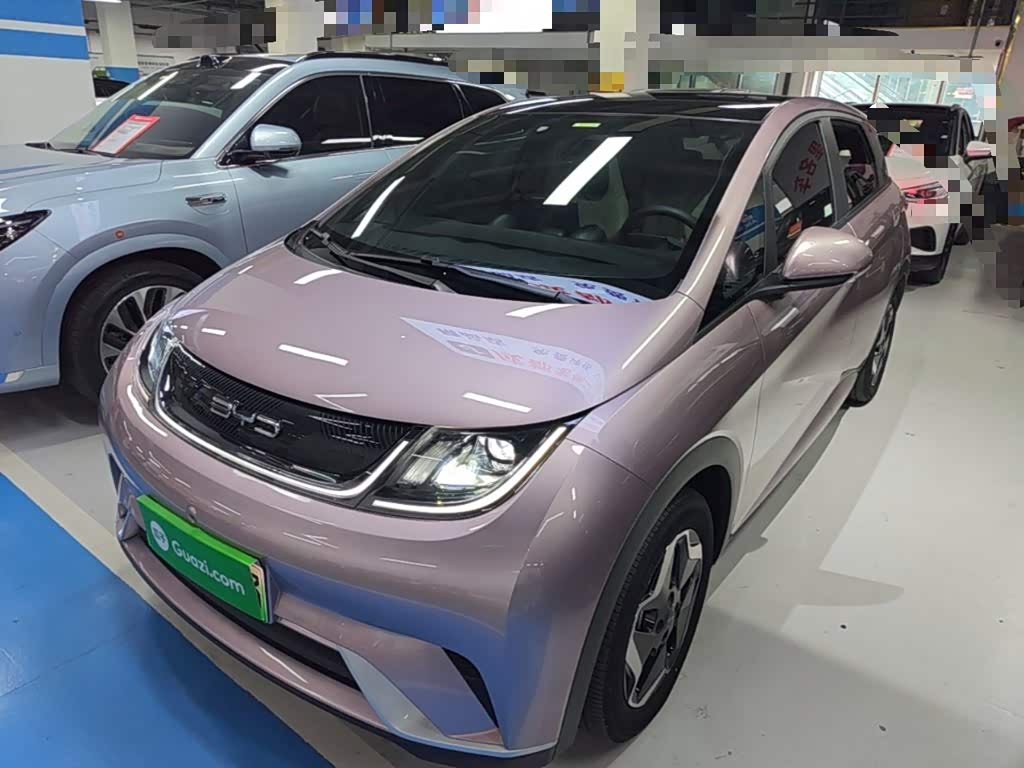 BYD Dolphin
