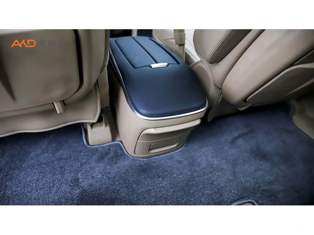 Buick GL8, 2020 10