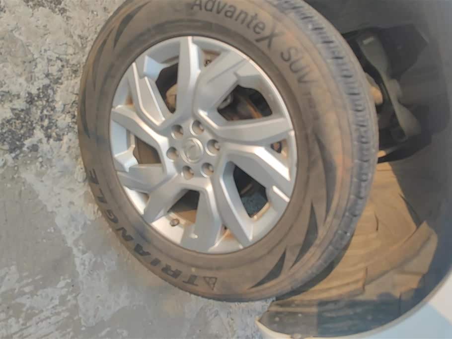 Dongfeng Palasso