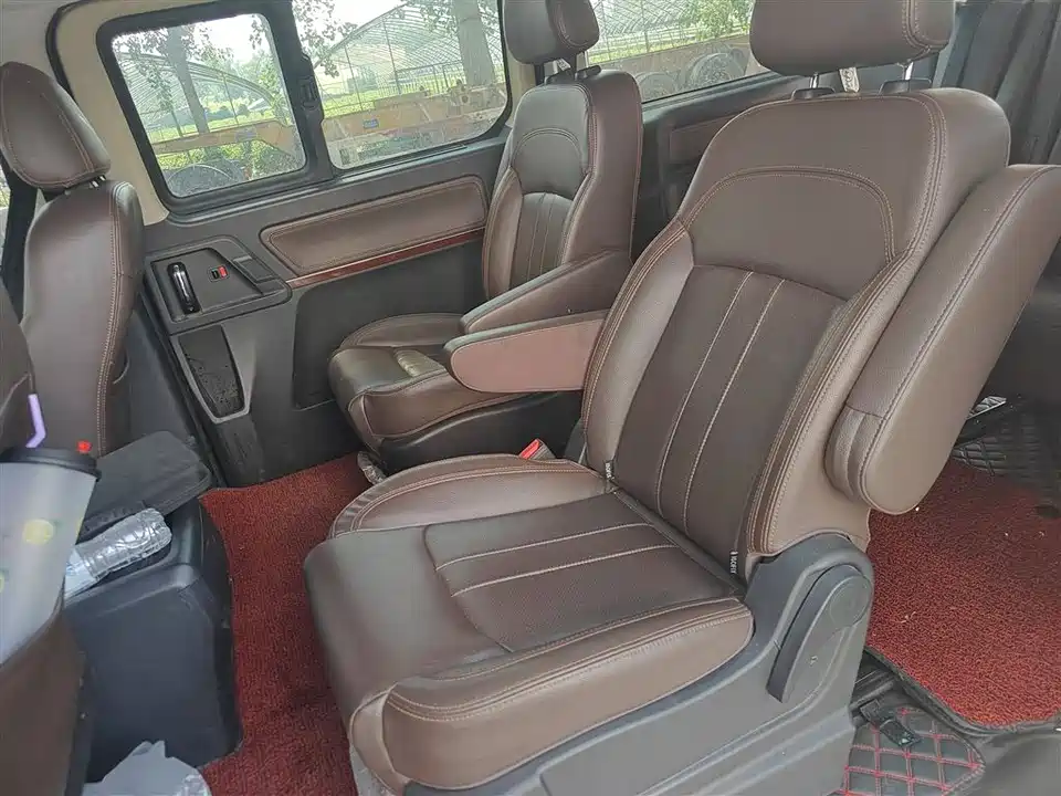 Forthing Lingzhi PLUS