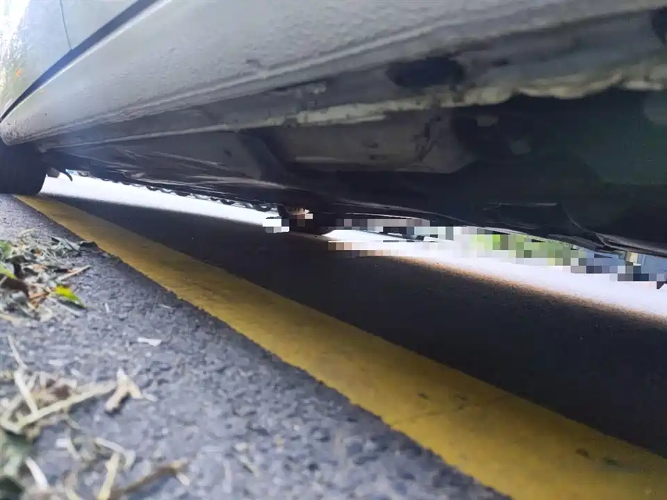 Volkswagen Golf*Jiayu