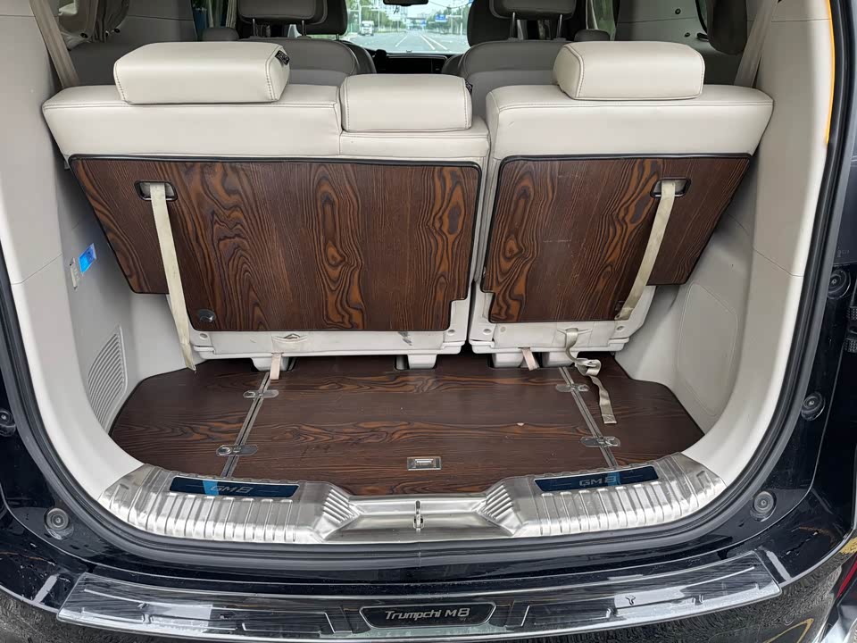 Trumpchi Trumpchi M8