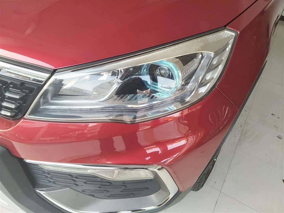 Leopaard Cheetah CS9