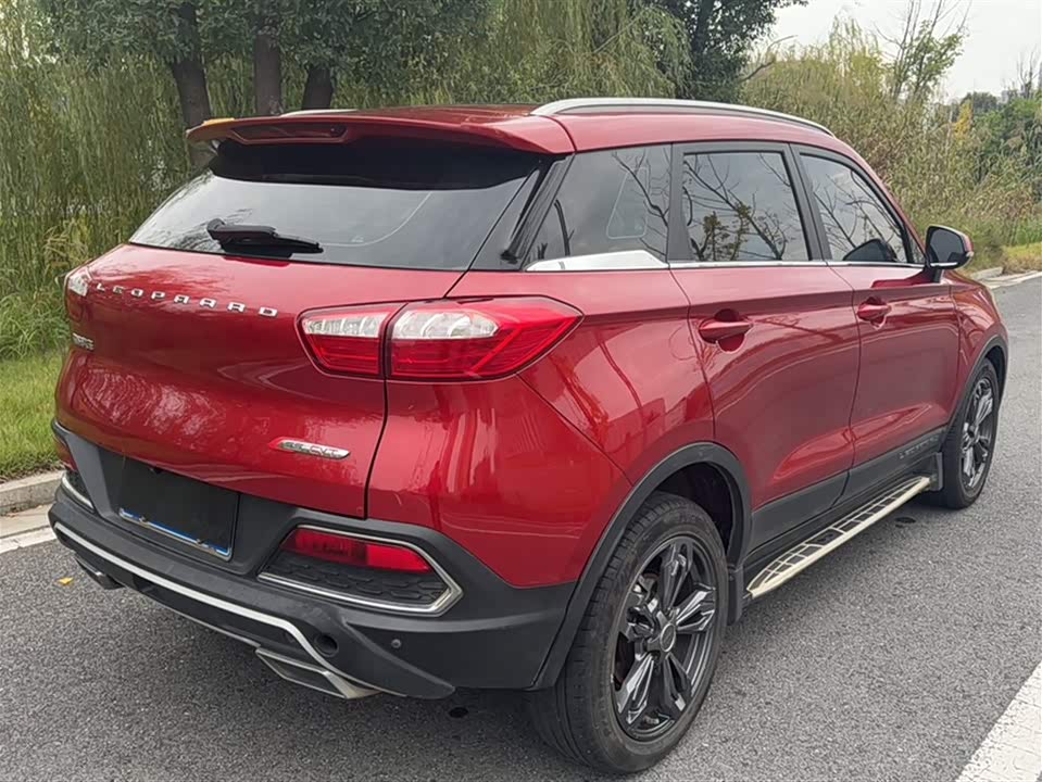 Leopaard Cheetah CS9