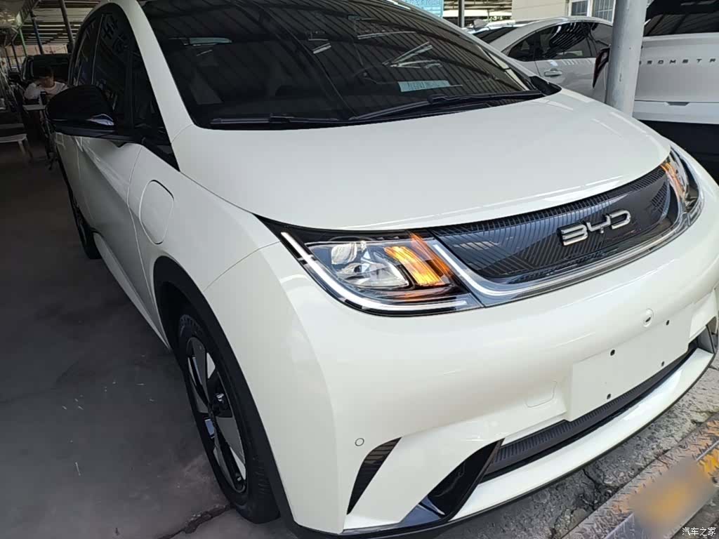 BYD Dolphin, 2023 4
