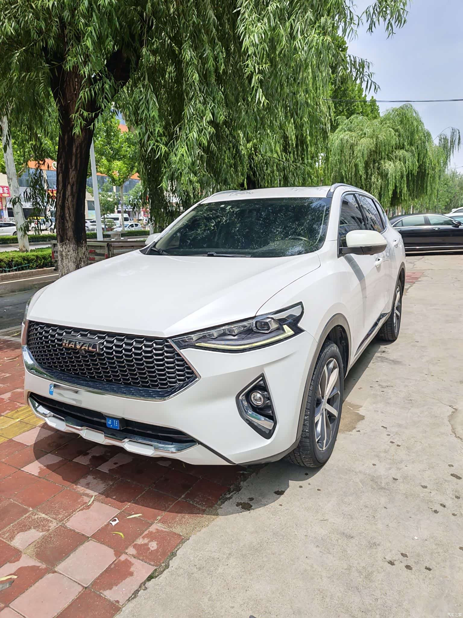 Haval F7, 2020 1