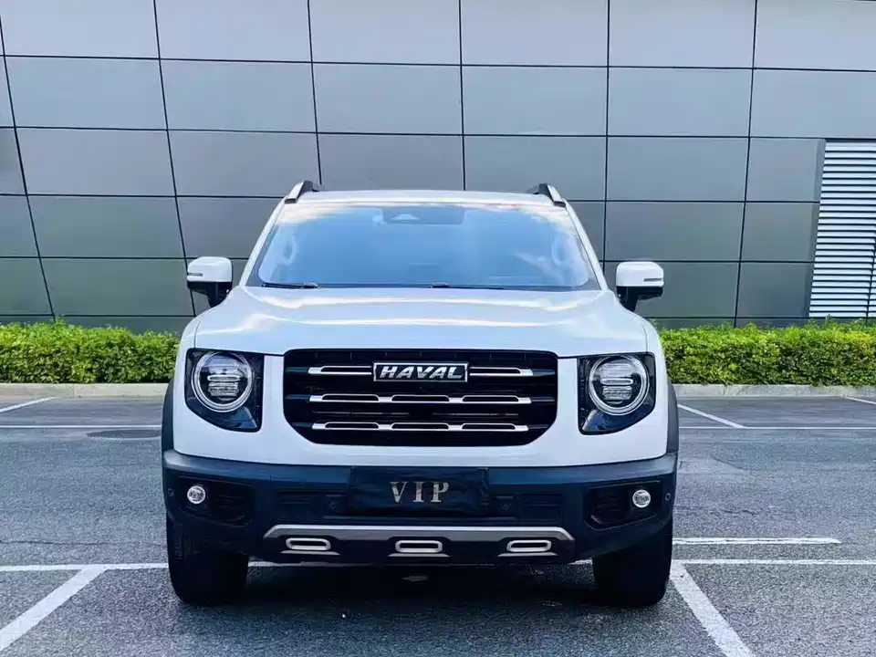 Haval Big dog