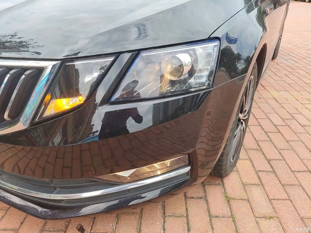 Skoda Octavia, 2018 24