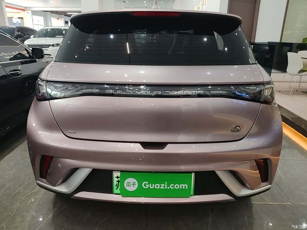 BYD Dolphin, 2022 6