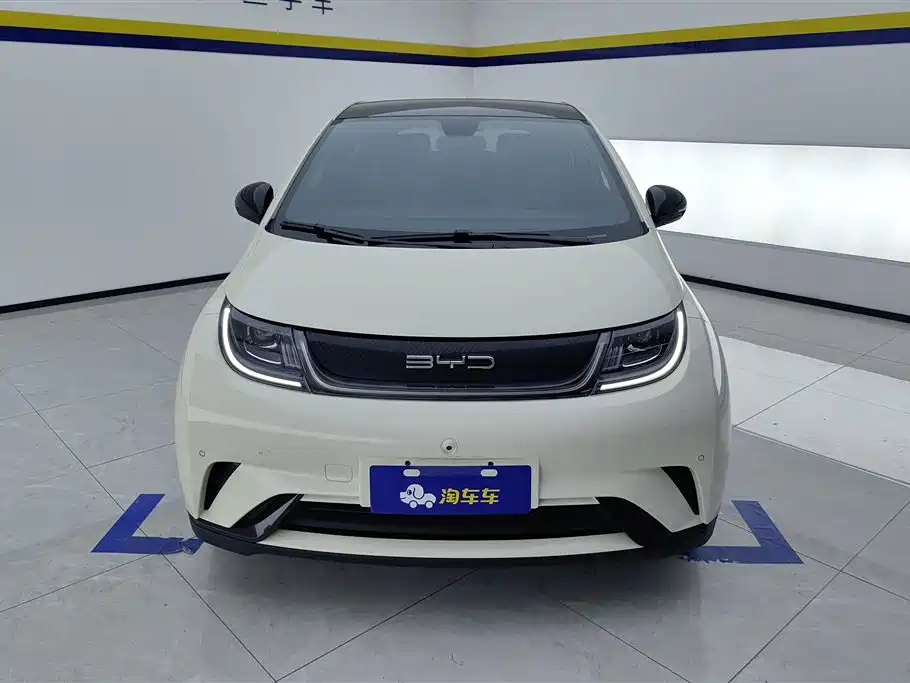 BYD dolphin