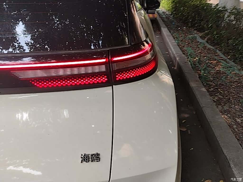 BYD Seagull, 2023 8