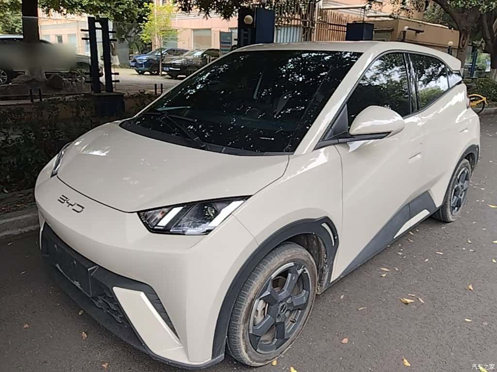 BYD Seagull, 2023 1