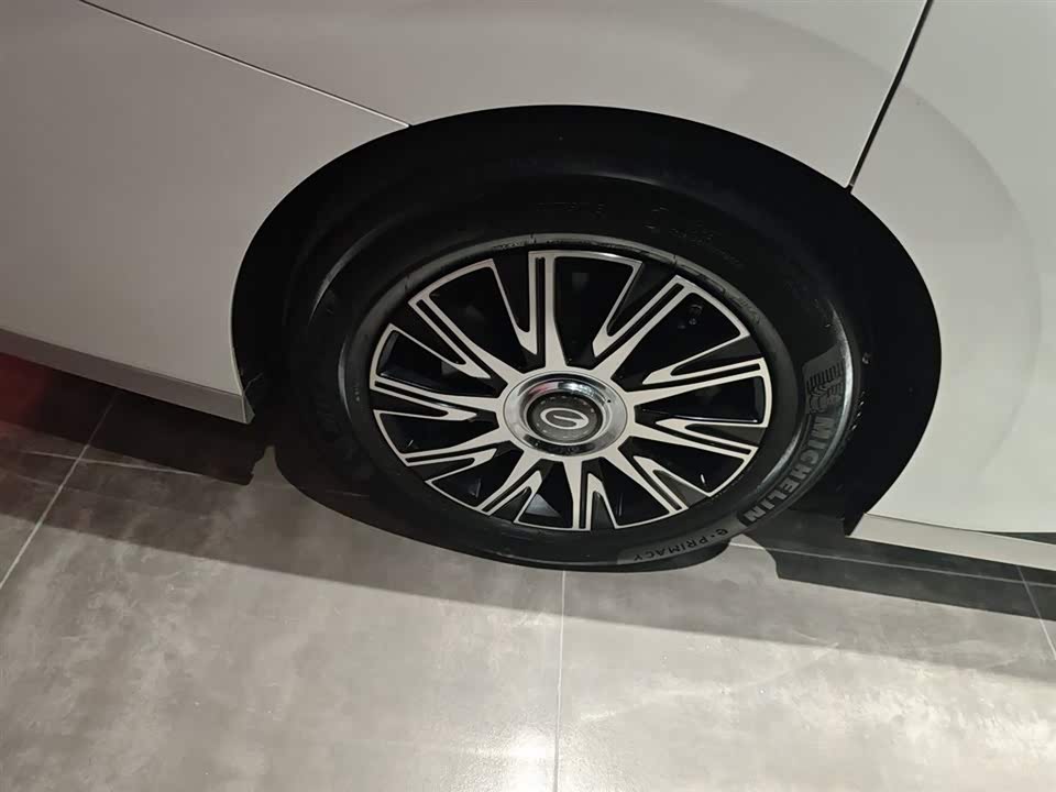 Trumpchi Trumpchi E9