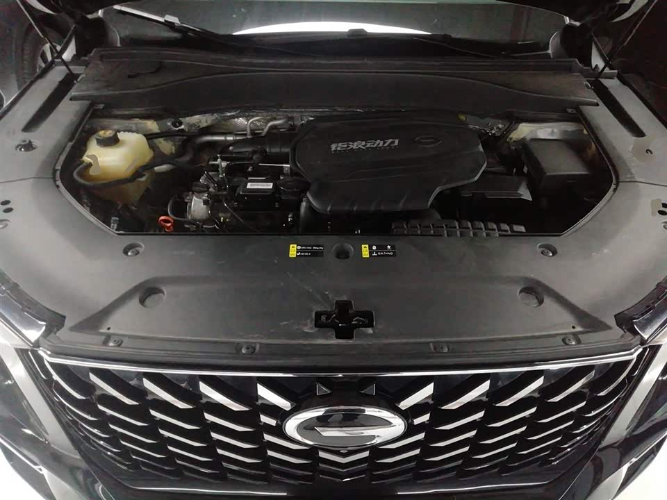 Trumpchi Trumpchi GS8