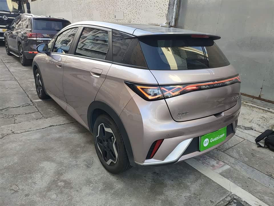 BYD dolphin BYD dolphin