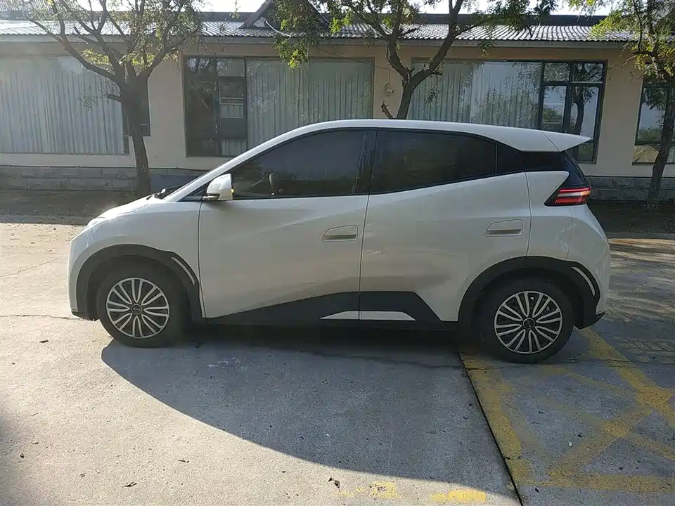 BYD Seagull