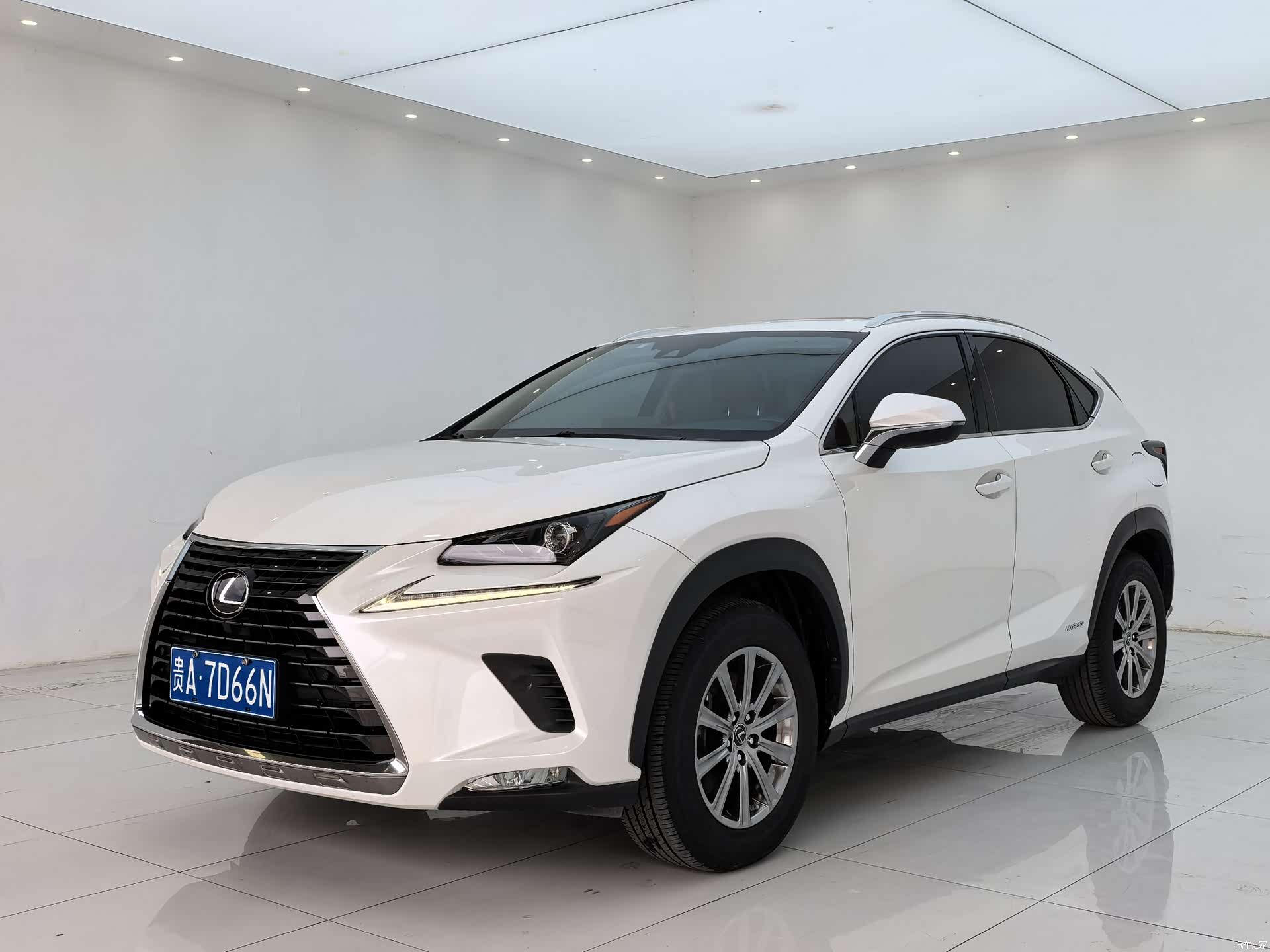 Lexus NX, 2020 1