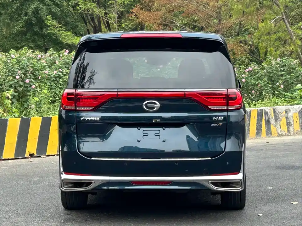 Trumpchi Trumpchi M8