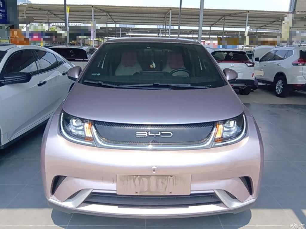 BYD Dolphin, 2022 3