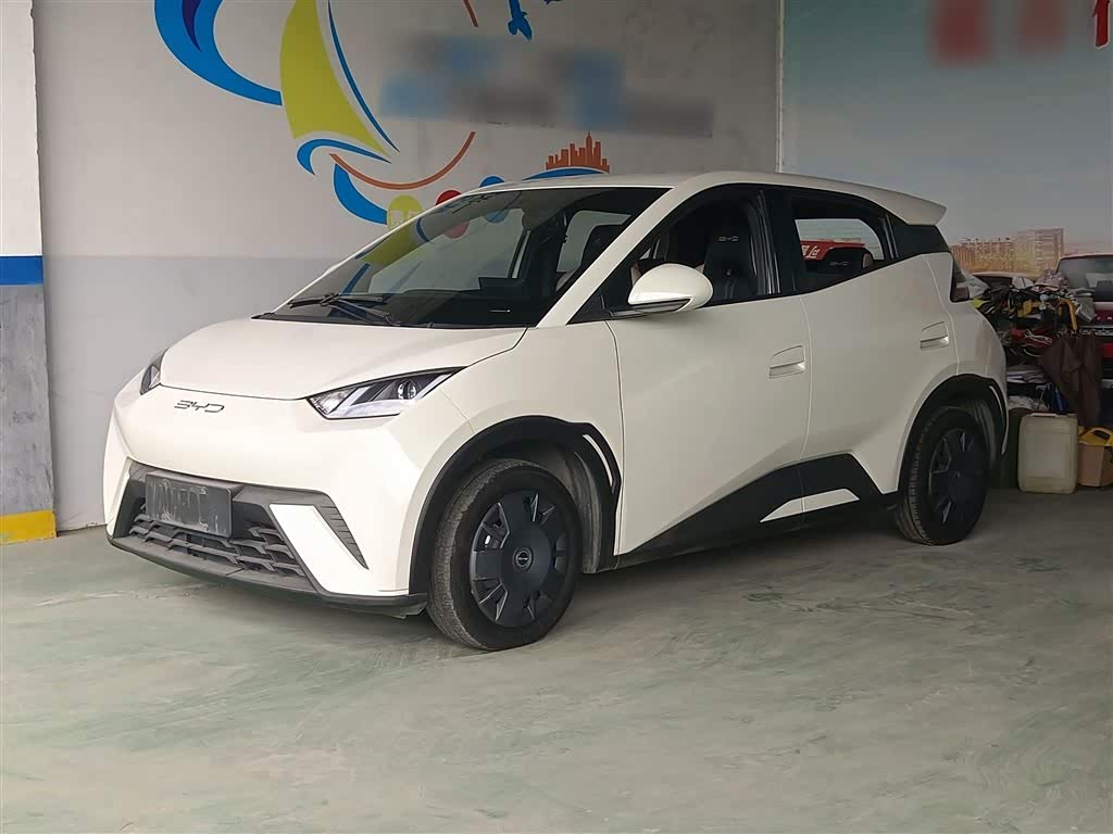 BYD Seagull