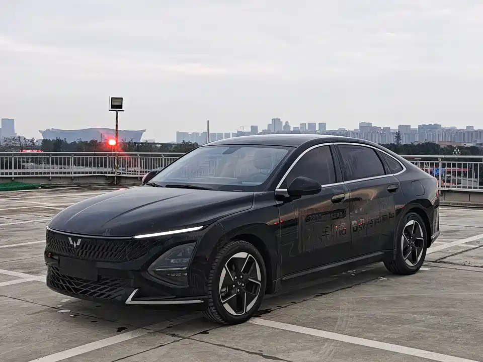 Wuling Wuling Starlight