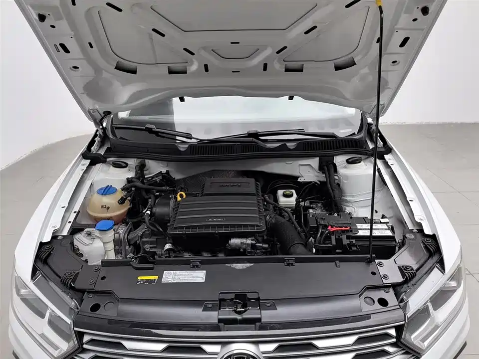 Volkswagen C-TREK Wei Collar