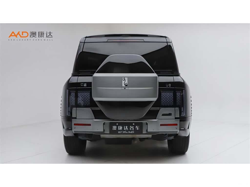 Yangwang U8, 2024 4