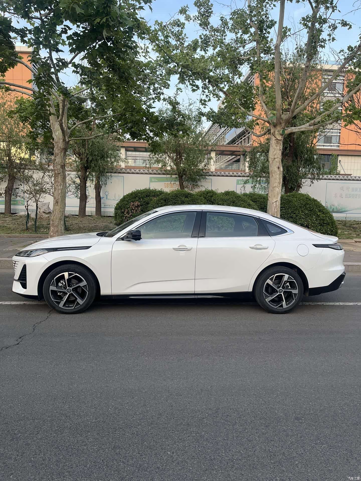 Changan Eado, 2026 все фото