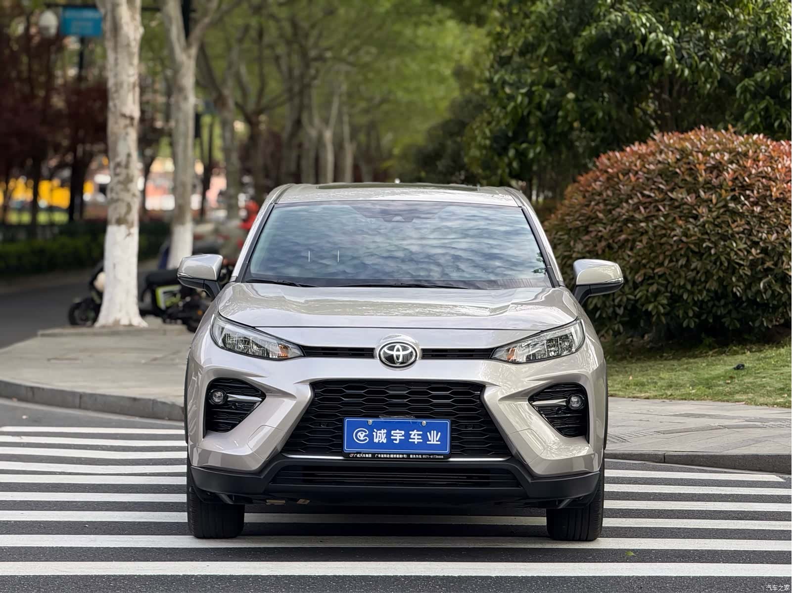 Toyota Wildlander, 2020 2