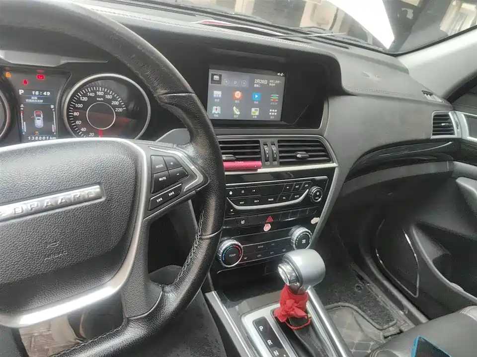 Leopaard Cheetah CS10