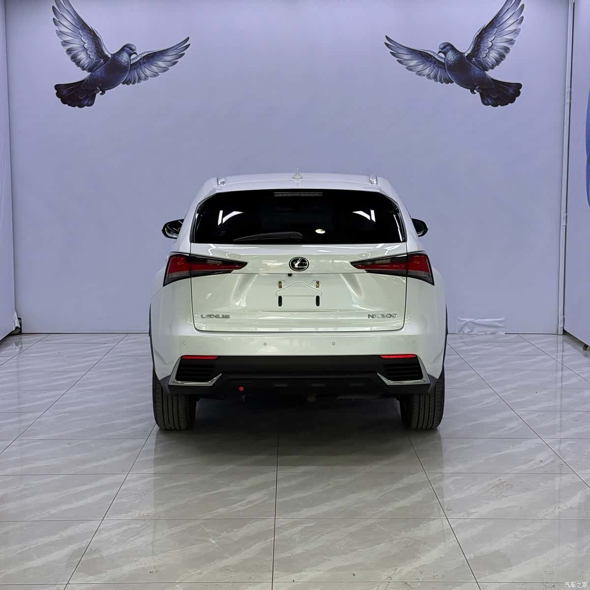 Lexus NX, 2021 все фото