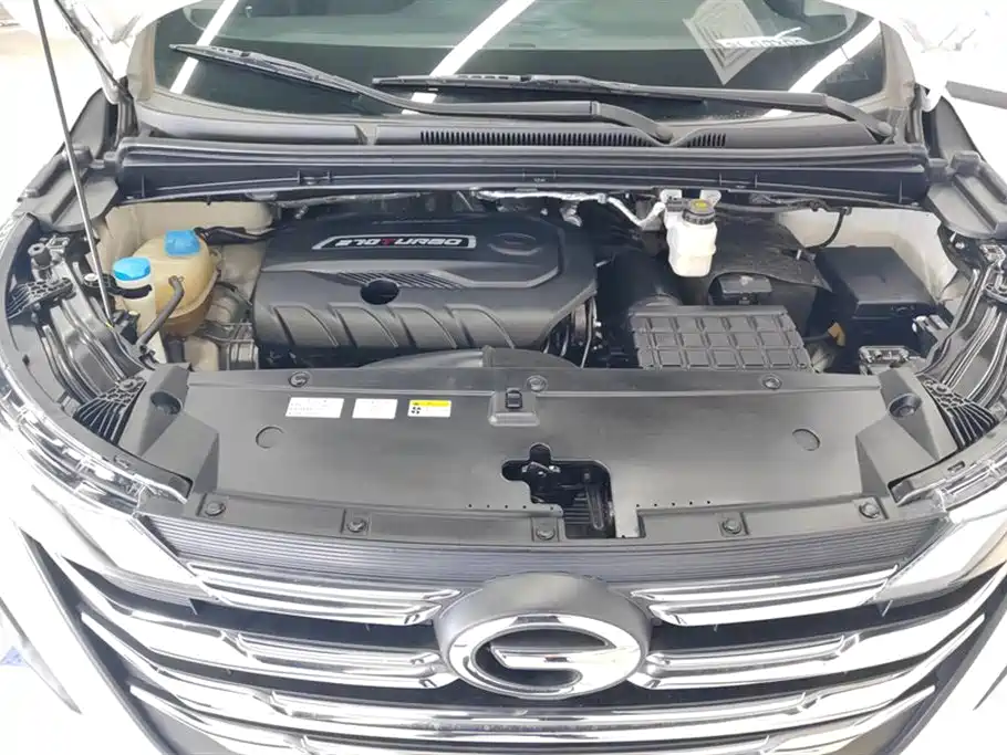 Trumpchi Trumpchi M6