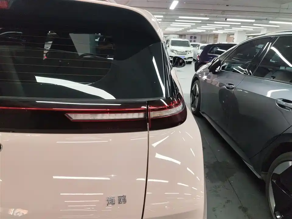 BYD Seagull