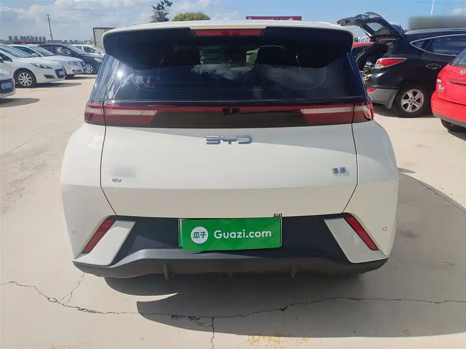 BYD Seagull