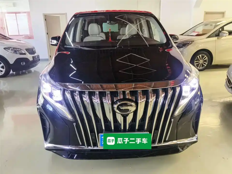 Trumpchi Trumpchi M8