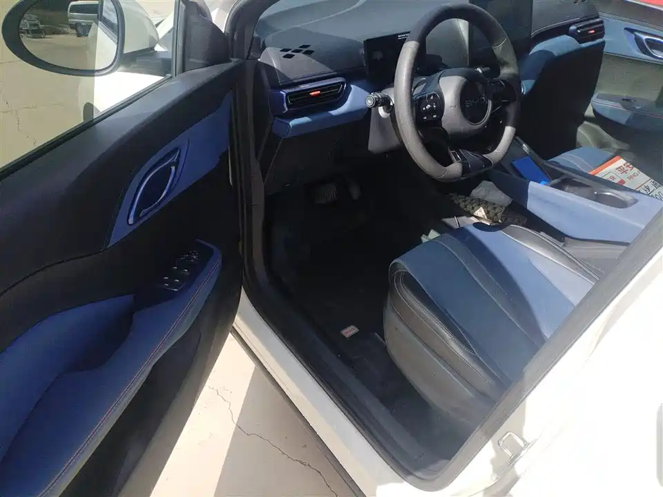 BYD Seagull