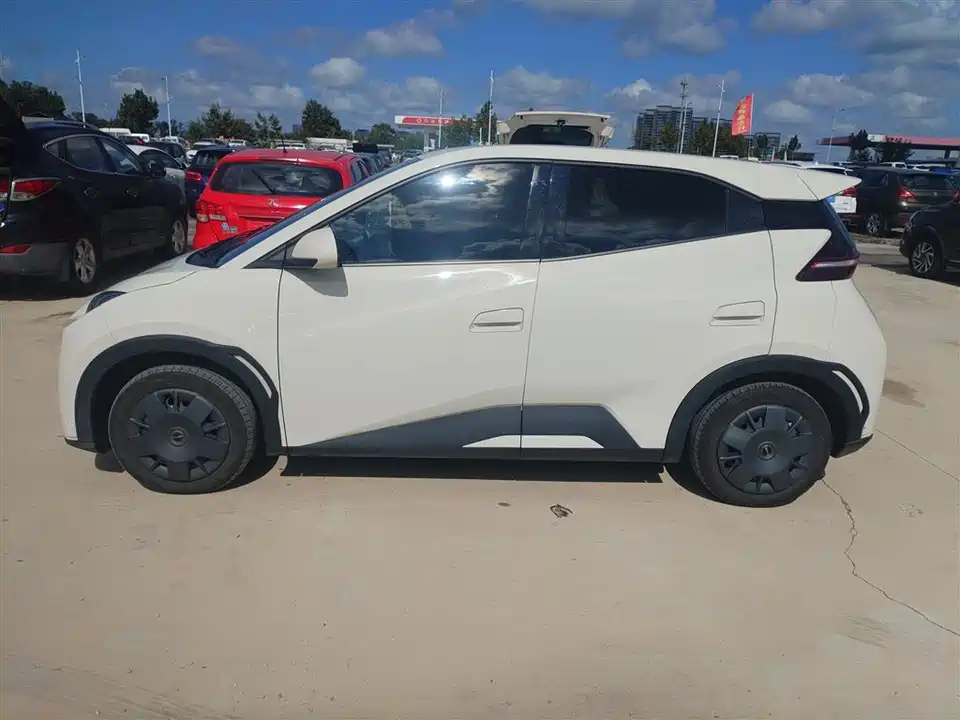 BYD Seagull