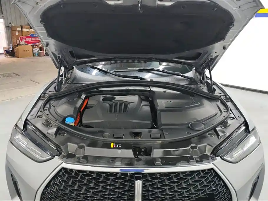 Weipai P8
