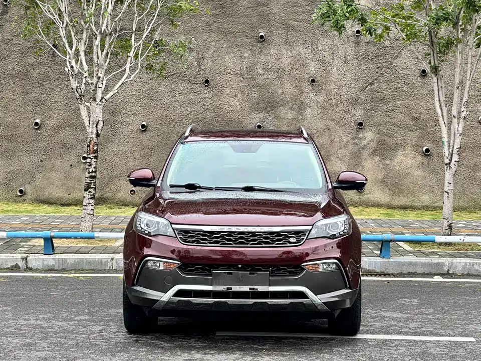 Leopaard Cheetah CS10