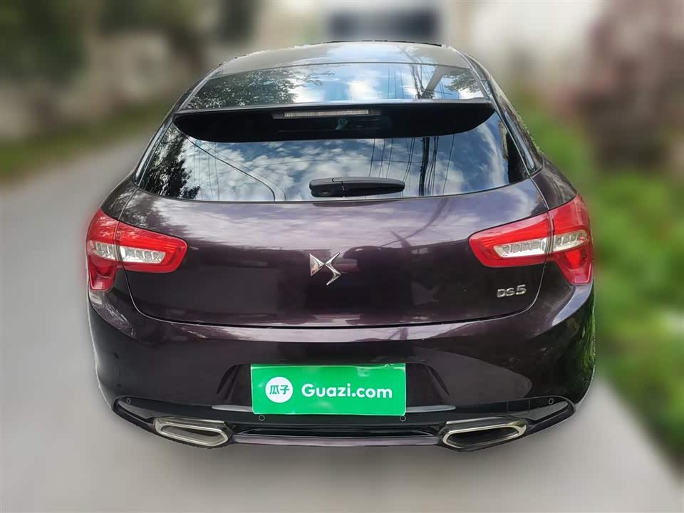 DS 5