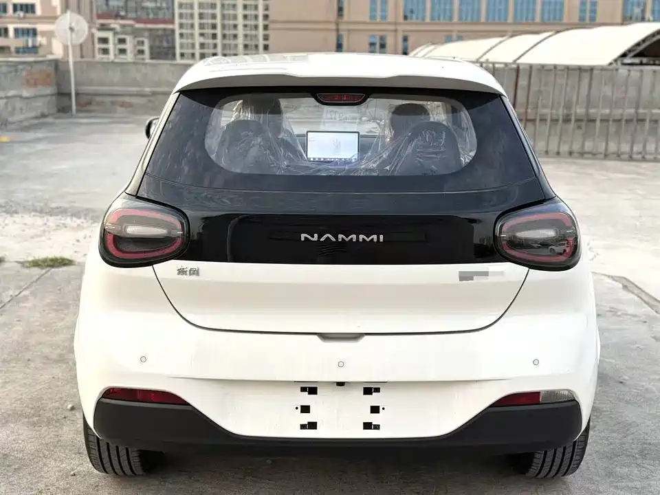 Dongfeng Nammi Nano 01