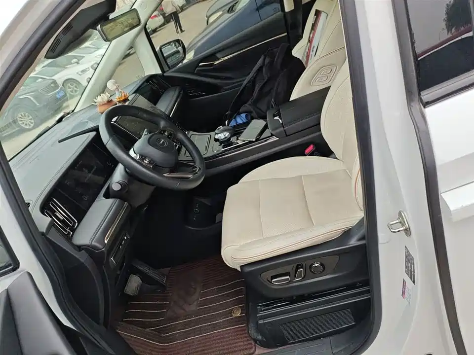 Trumpchi Trumpchi E9