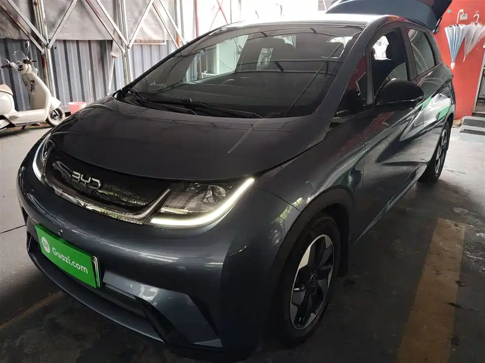 BYD dolphin