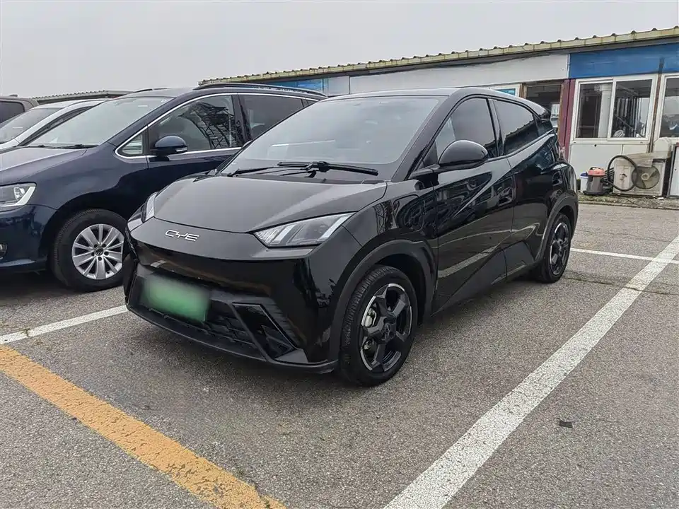 BYD Seagull BYD Seagull